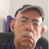 AVELLA ALFREDO AVELLA ALFREDO